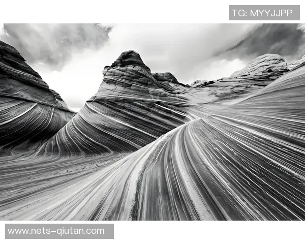 亚当斯的传奇人生与影响力探讨：从个人成就到社会变革的深远影响